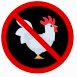 बिलासपुर ग्राहकों के सेहत से खिलवाड़ प्रतिबंध लगने के बाद भी धड़ल्ले से बिक रहा है चिकन होटलों में